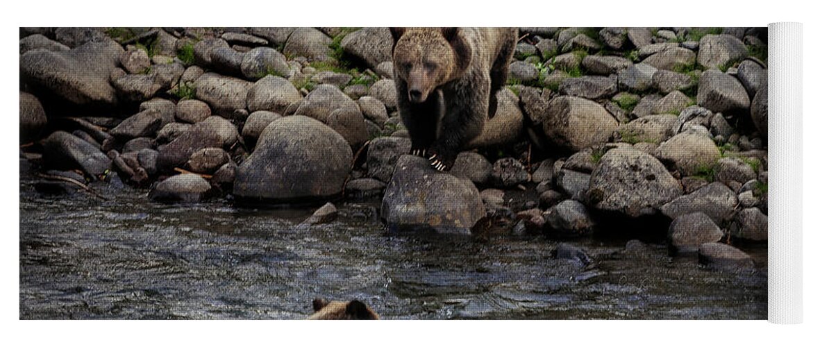 Grizzly Yoga Mat featuring the photograph Moma Bear Scolding Baby Bear by Craig J Satterlee
