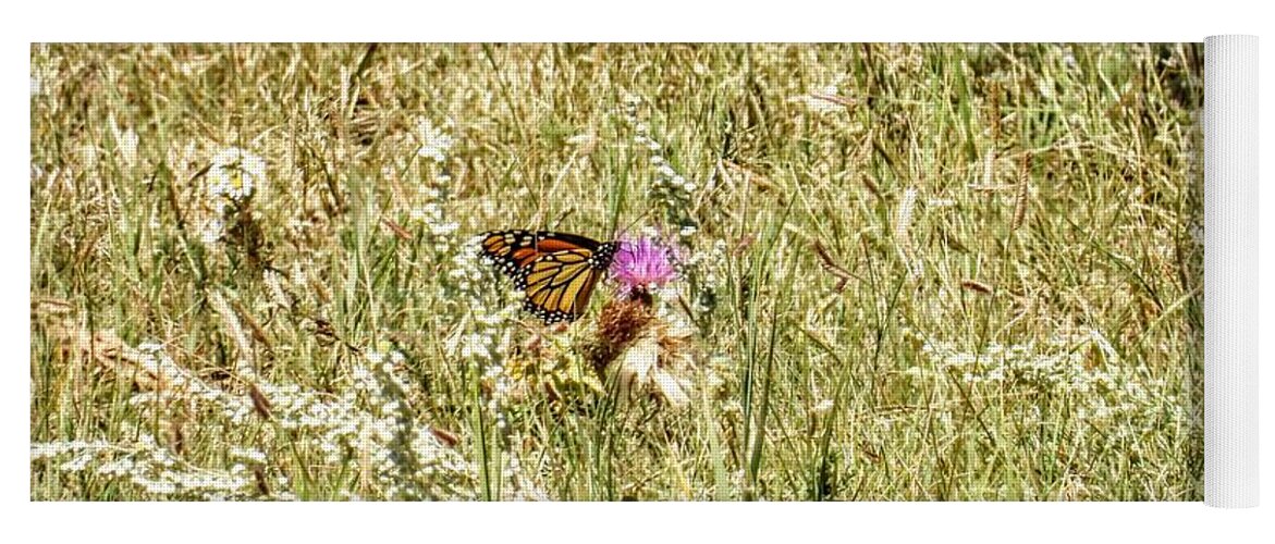 Butterfly Yoga Mat featuring the photograph Monarch Butterfly by Amanda R Wright