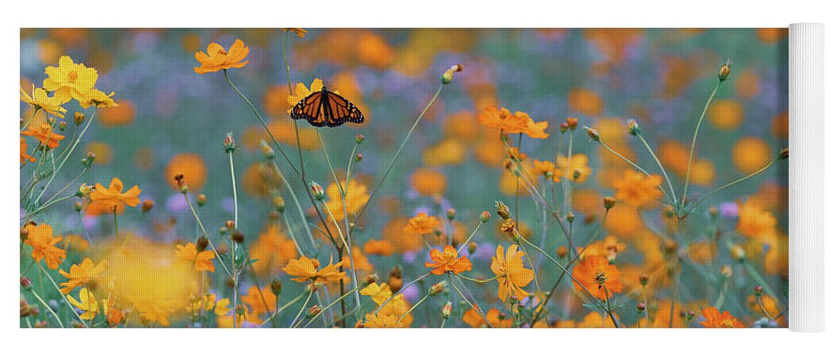 Coreopsis Yoga Mat featuring the photograph Monarch in pollinator meadow BU10666 by Mark Graf