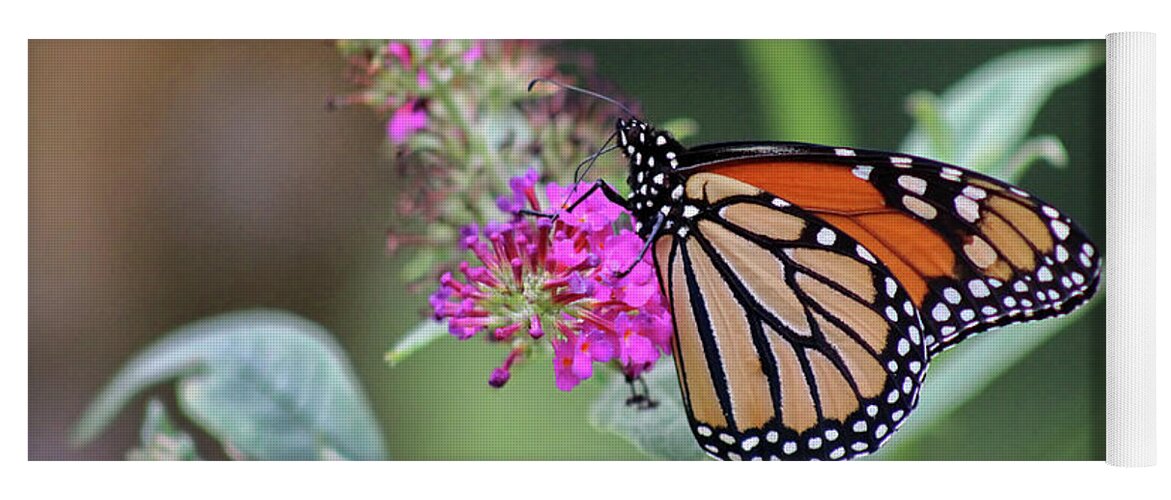 Monarch Yoga Mat featuring the photograph Monarch on Magenta Butterfly Bush by Karen Adams