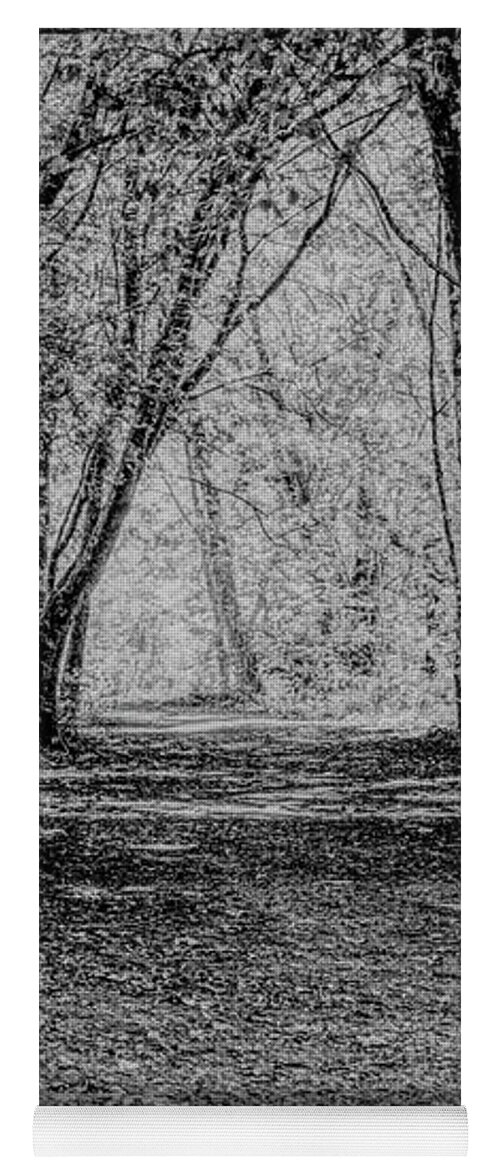 Monochrome Yoga Mat featuring the photograph Monochrome tree-lined path by Pics By Tony