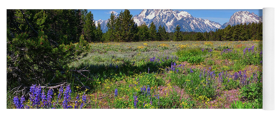 Grand Teton National Park Yoga Mat featuring the photograph Moran Spring by Greg Norrell