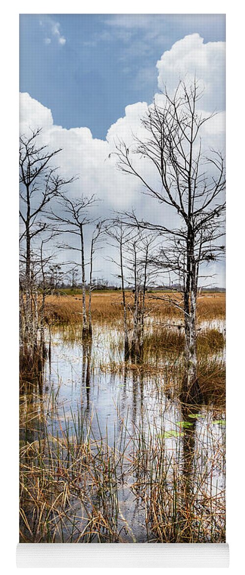 Clouds Yoga Mat featuring the photograph Morning Everglades by Debra and Dave Vanderlaan