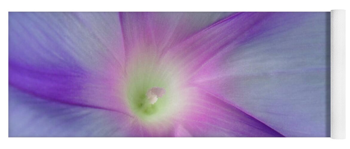  Yoga Mat featuring the photograph Morning Glory Star by ChelleAnne Paradis