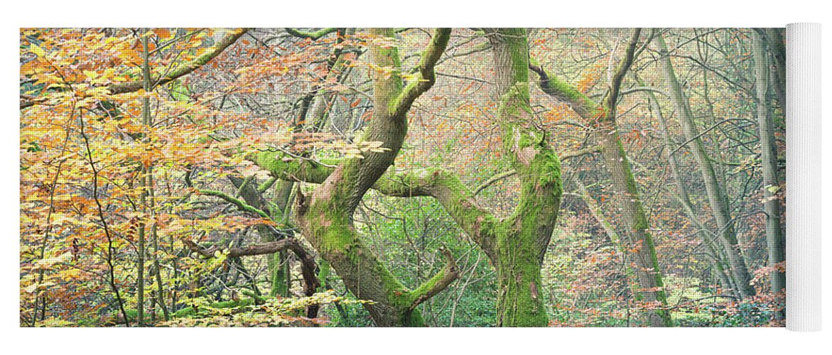 Twisted Tree Yoga Mat featuring the photograph Moss covered oak tree in Autumn by Anita Nicholson