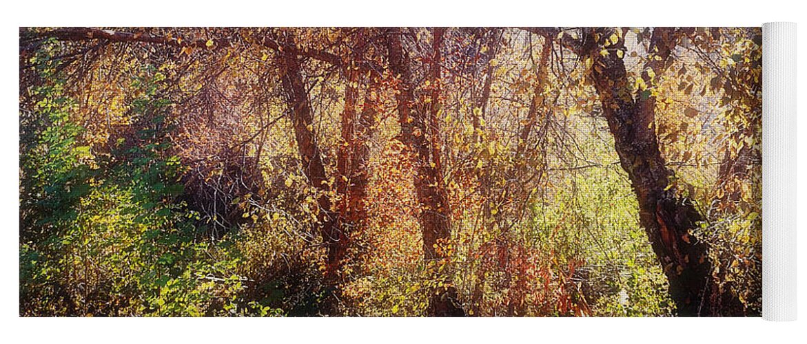 Autumn Leaves Yoga Mat featuring the photograph Mother Nature's Palette 2 by Linda McRae
