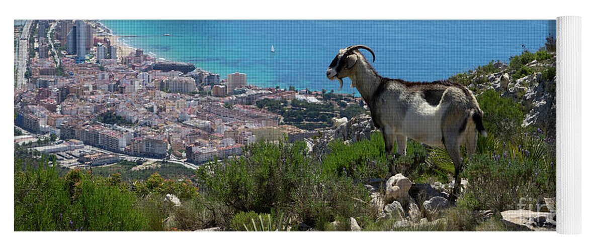 Mountains Yoga Mat featuring the photograph Mountain goat looks at Calpe and the Mediterranean Sea by Adriana Mueller