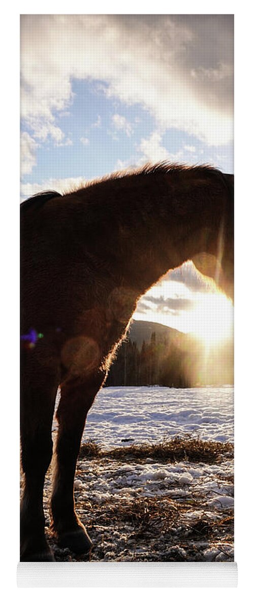 Winter Yoga Mat featuring the photograph Mountain Sunset by Listen To Your Horse