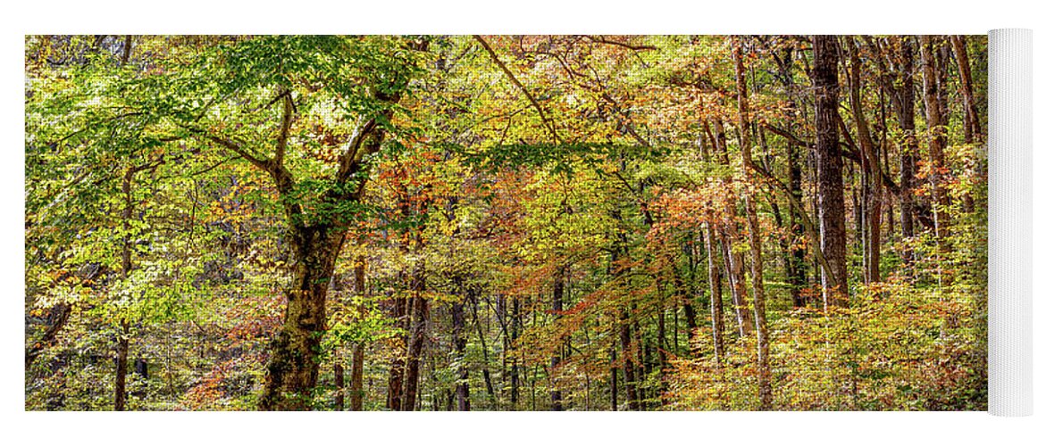 Ky Yoga Mat featuring the photograph Multicolored Forest by Eric Glaser