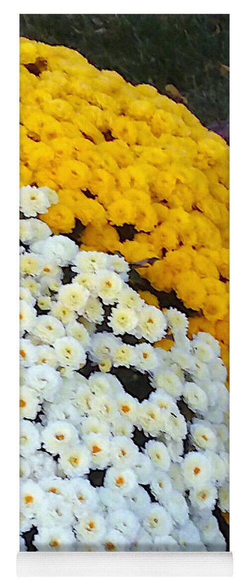 Flowers Yoga Mat featuring the photograph Mums by Elly Potamianos