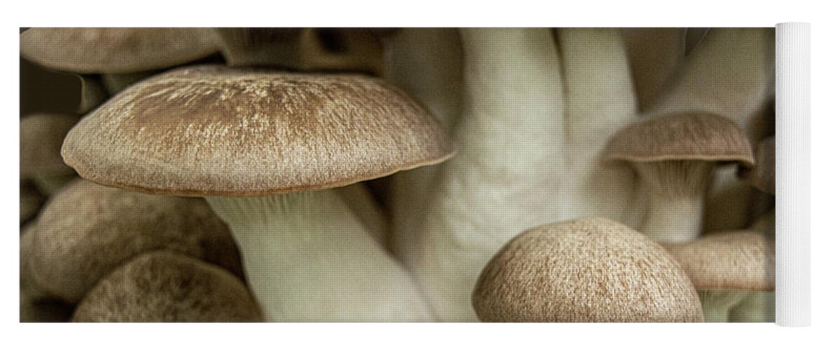 Mushroom Yoga Mat featuring the photograph Mushroom Cluster by Frank Wilson