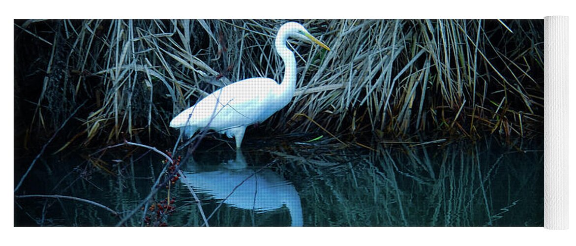 Egret Yoga Mat featuring the photograph My reflection by Tim Ernst