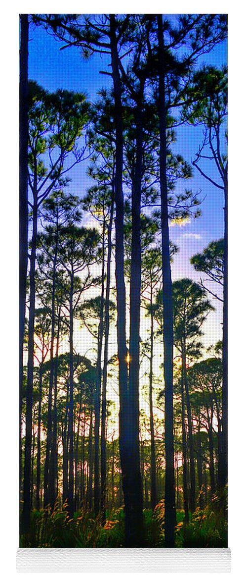 Myakka State Forest Yoga Mat featuring the photograph Myakka Sunset by Alison Belsan Horton