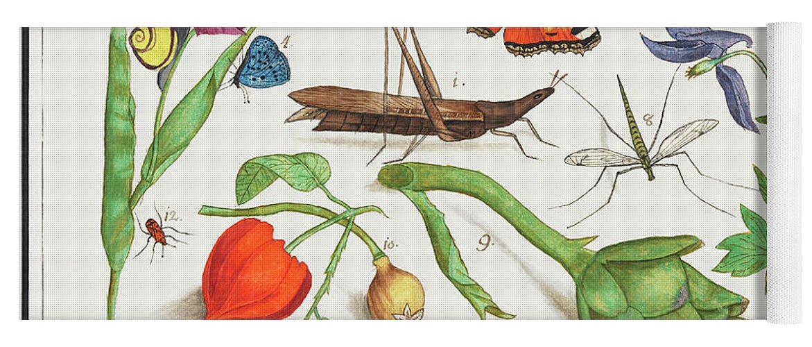 De Boodt Yoga Mat featuring the mixed media Natural History Ensemble, no. 17 by World Art Collective
