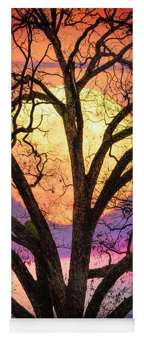 Carolina Yoga Mat featuring the photograph Nature in Stained Glass by Debra and Dave Vanderlaan