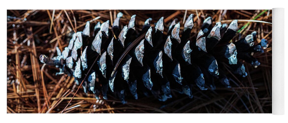 Nature Yoga Mat featuring the photograph Nature Photography - Pine Cone 2 by Amelia Pearn