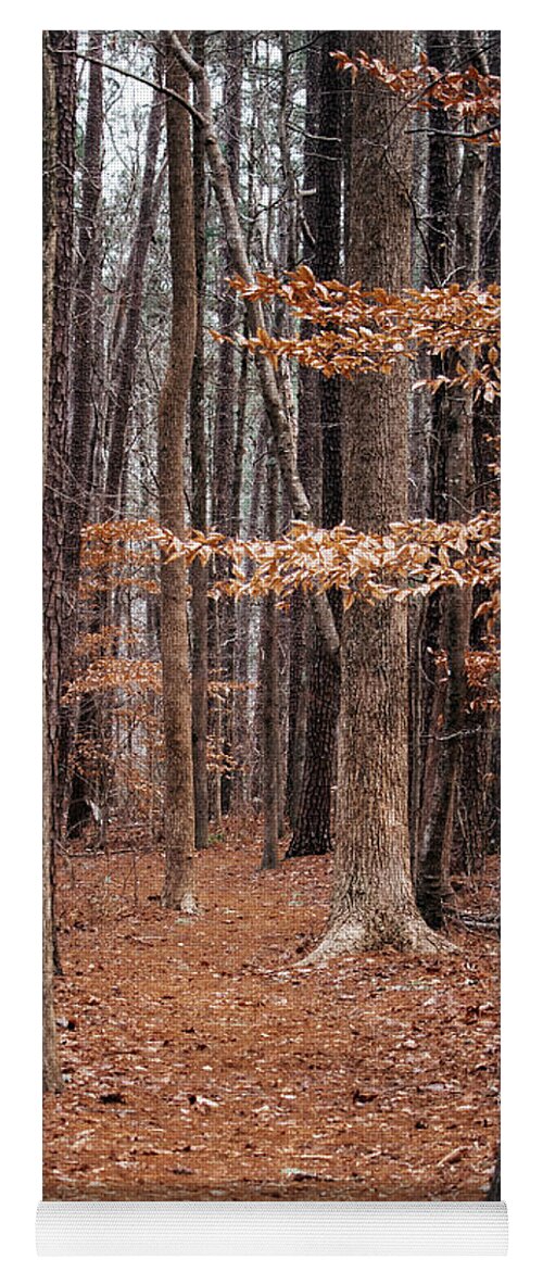 Nature Yoga Mat featuring the photograph Nature Trail by Rick Nelson