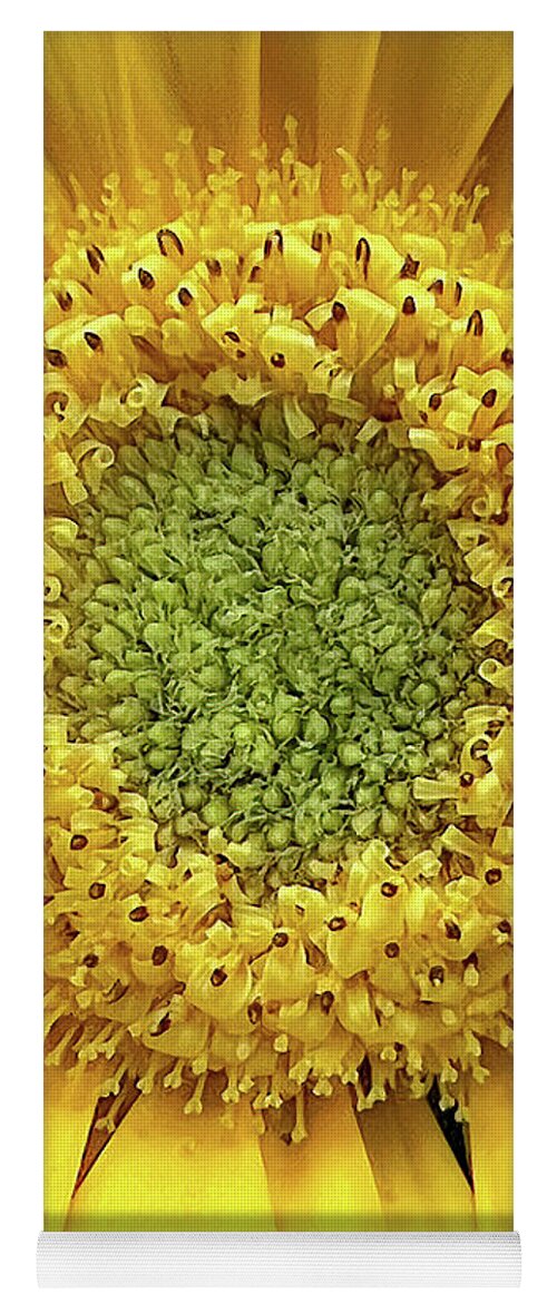 Yellow Gerbera Yoga Mat featuring the photograph Natures Beauty Gerbera by Julie Palencia