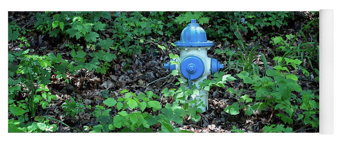 Arkansas Yoga Mat featuring the photograph Nature's Fire Hydrant - Blue by Jim Shackett