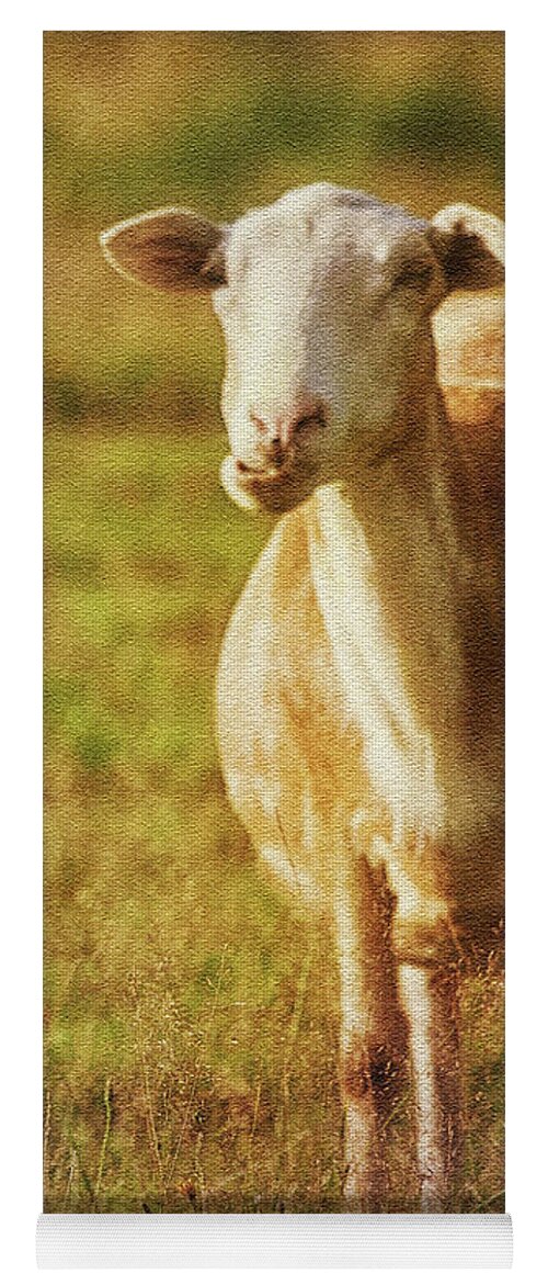 Sheep Yoga Mat featuring the photograph Newfie by Tatiana Travelways
