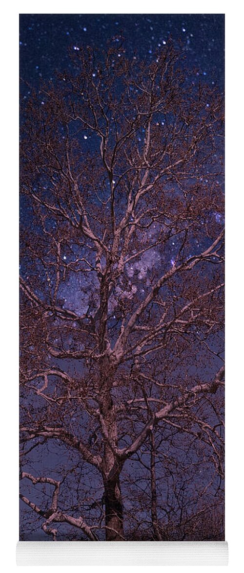 Tree Yoga Mat featuring the photograph Night Sky Tree by Russ Considine