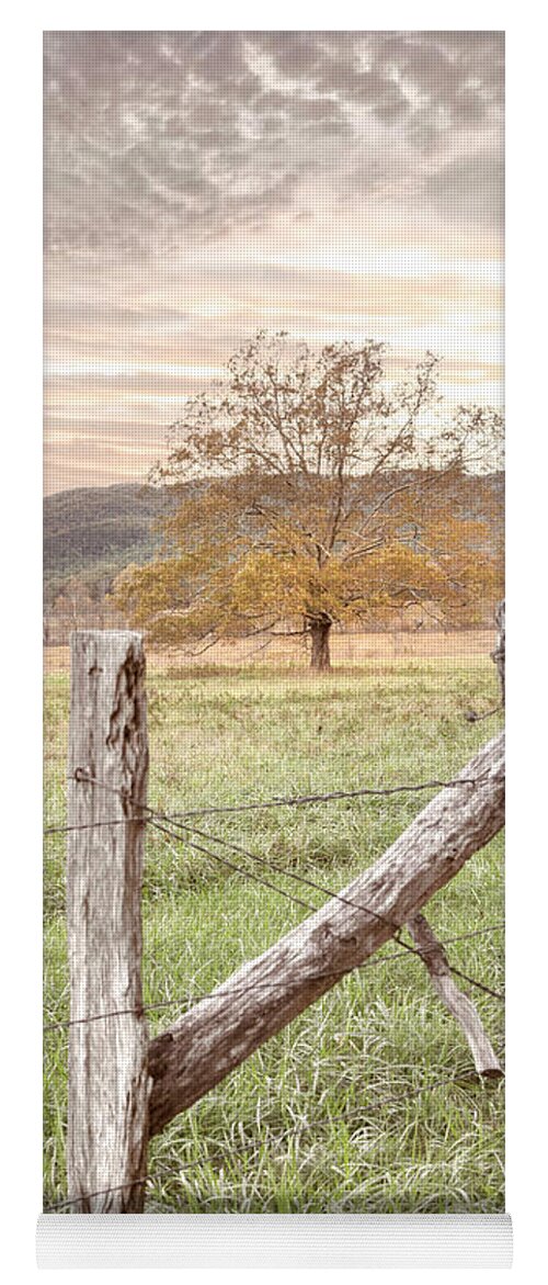 Cades Yoga Mat featuring the photograph Oak Tree in the Mist at Sunrise by Debra and Dave Vanderlaan
