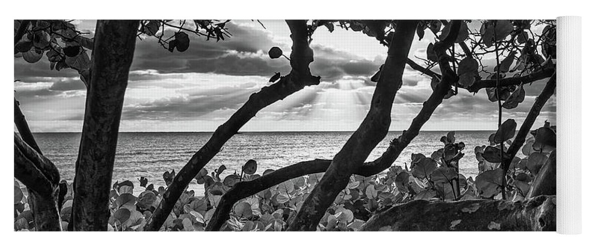 Beach Yoga Mat featuring the photograph Ocean View Through Seagrape Trees BW by Laura Fasulo