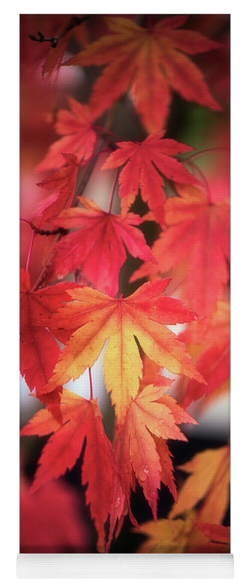 Leaves Yoga Mat featuring the photograph October Maple by Philippe Sainte-Laudy