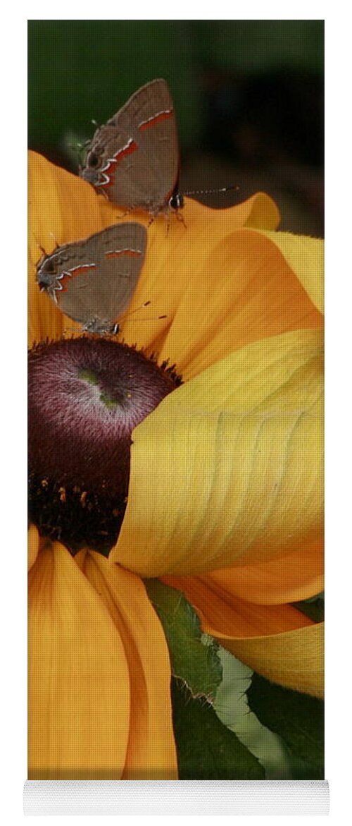 Butterflies Yoga Mat featuring the photograph Last Chance For Romance by Jean Cormier
