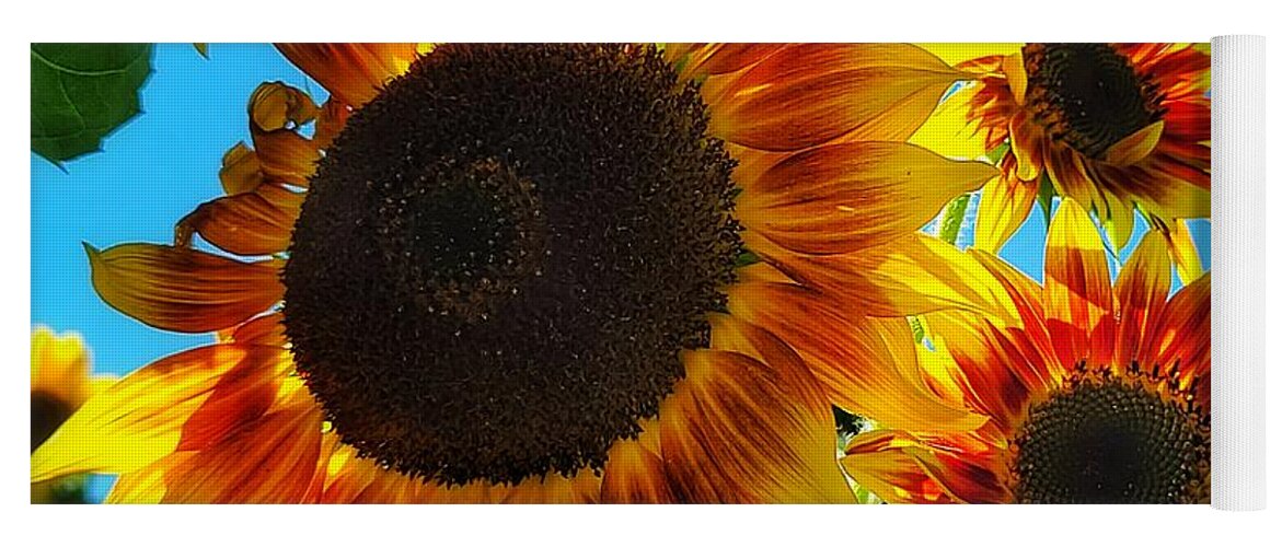 Sunflower Yoga Mat featuring the photograph Oh Happy Day by Terry Ann Morris