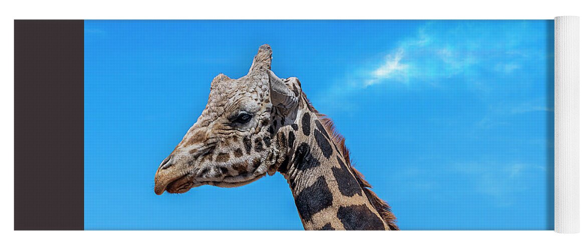  Yoga Mat featuring the photograph Old Giraffe by Al Judge