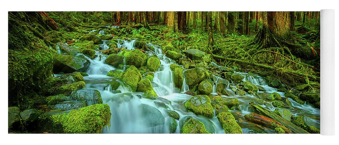 Sol Duc Yoga Mat featuring the photograph Olympic Rainforest by Dan Mihai