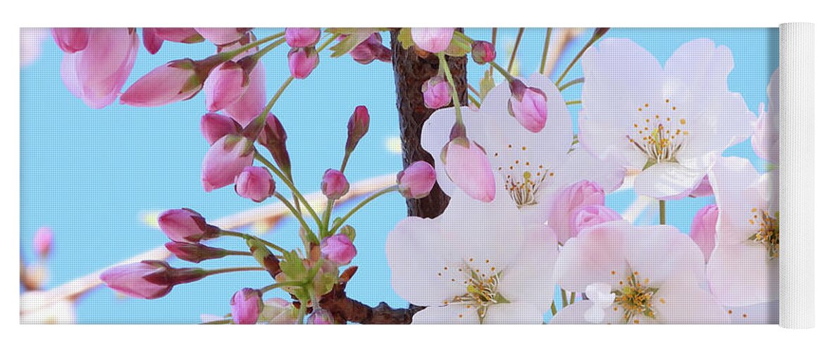 Japanese Cherry Blossom Yoga Mat featuring the photograph On A Spring Day by Scott Cameron