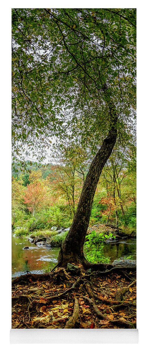 Carolina Yoga Mat featuring the photograph On the Edge of Fall by Debra and Dave Vanderlaan