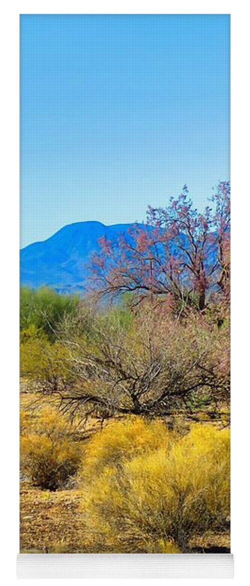 Arizona Yoga Mat featuring the photograph On the Ironwood Trail by Judy Kennedy
