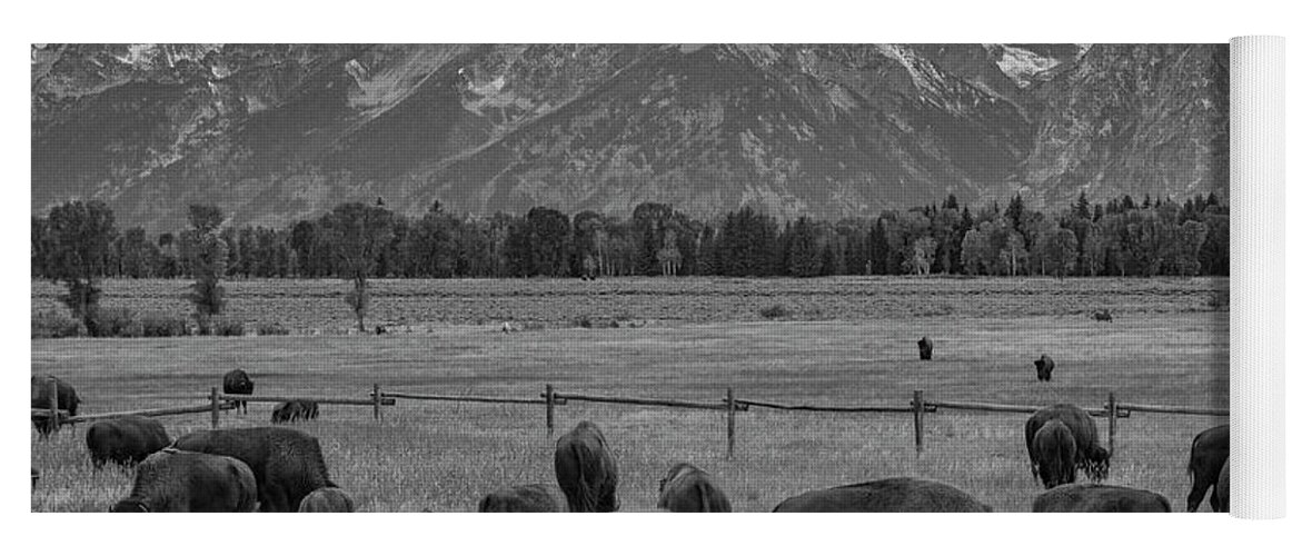 Grand Teton National Park Yoga Mat featuring the photograph On The Range by Melissa Southern