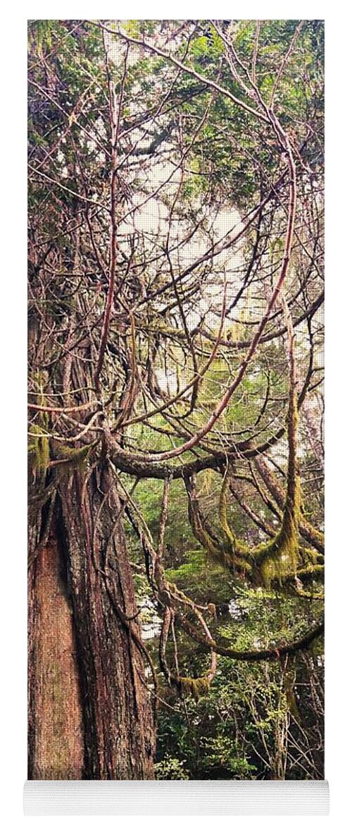 Trees Yoga Mat featuring the photograph Open Arms by Kimberly Furey