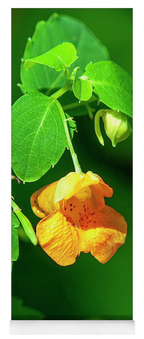 Balsam Family Yoga Mat featuring the photograph Orange Jewelweed DFL1221 by Gerry Gantt