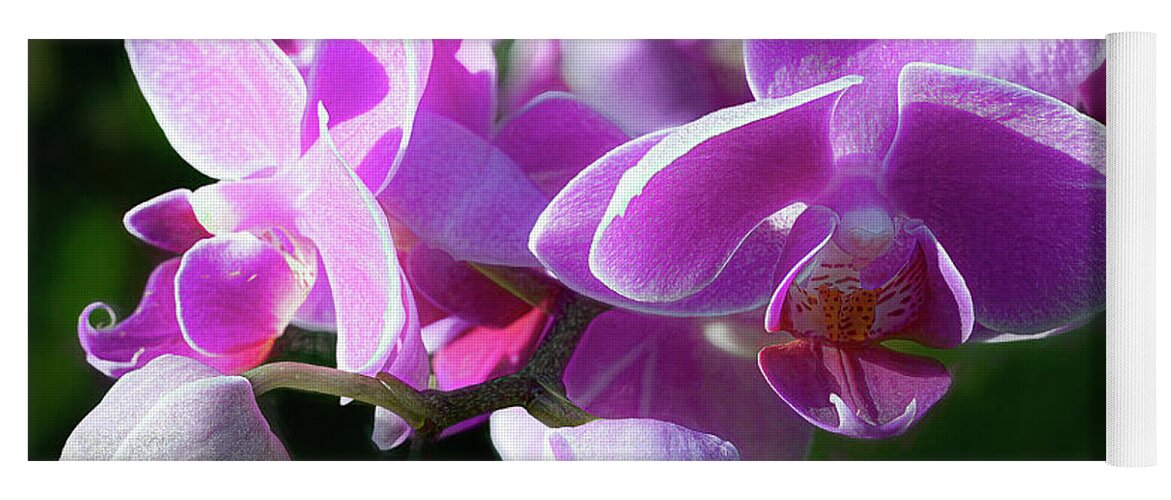 Orchid Yoga Mat featuring the photograph Orchid Duo by Cheri Freeman