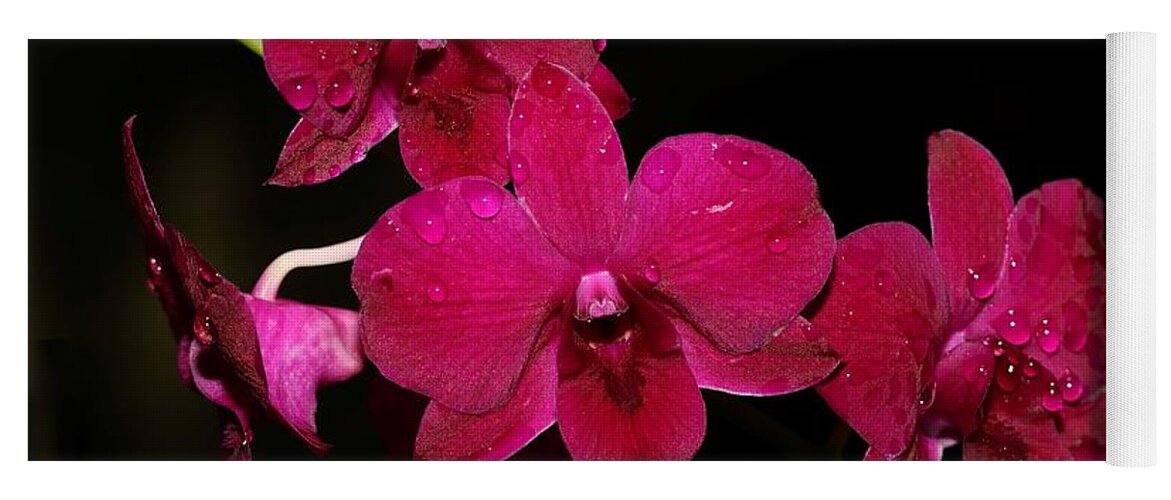 Orchid Yoga Mat featuring the photograph Orchid and Morning Due by Mingming Jiang