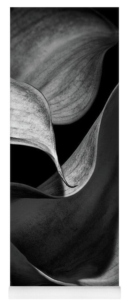 Flower Yoga Mat featuring the photograph Orchid Petals in Black and White by Anni Adkins