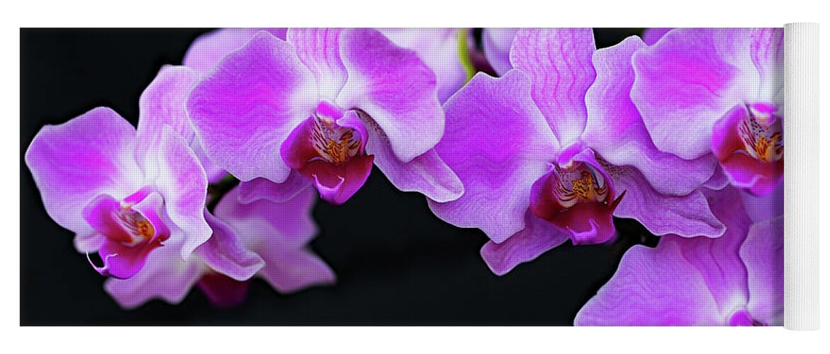 Flower Yoga Mat featuring the photograph Orchid wave by Gina Fitzhugh