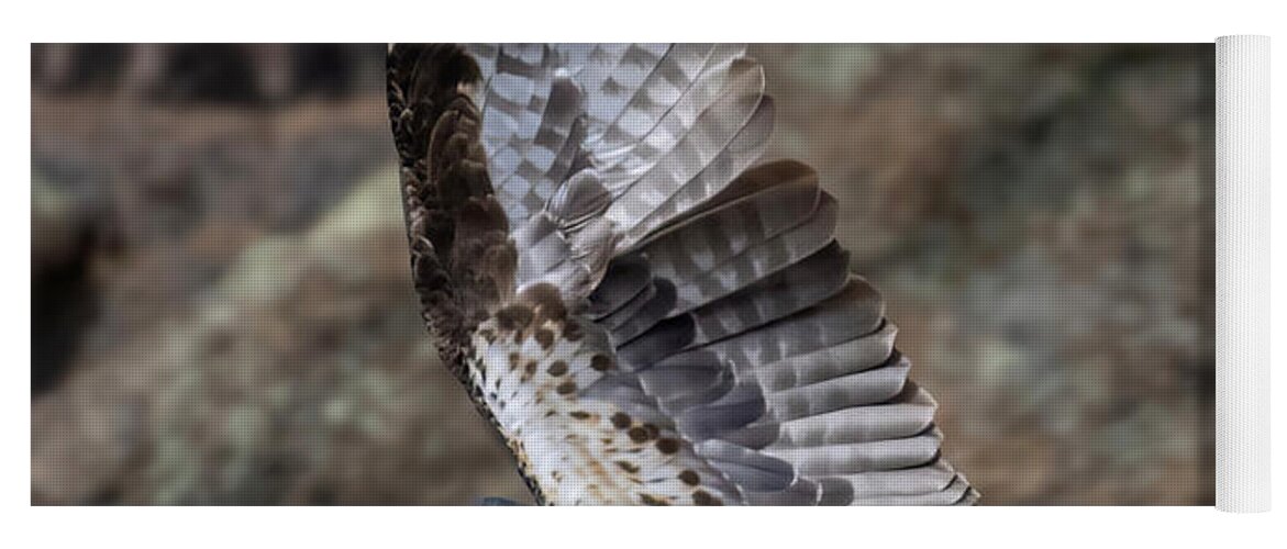 Bird Species Yoga Mat featuring the photograph Osprey Attack in Eleven Mile Canyon by Steven Krull