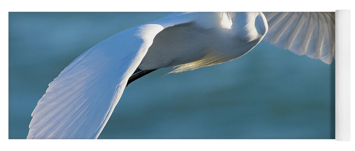 Snowy Egret Yoga Mat featuring the photograph Outstretched Glide by RD Allen
