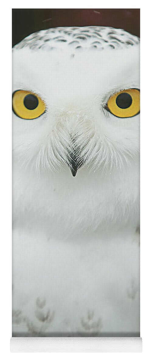 Owl Be Watching You Yoga Mat featuring the photograph Owl Be Watching You by Carrie Ann Grippo-Pike