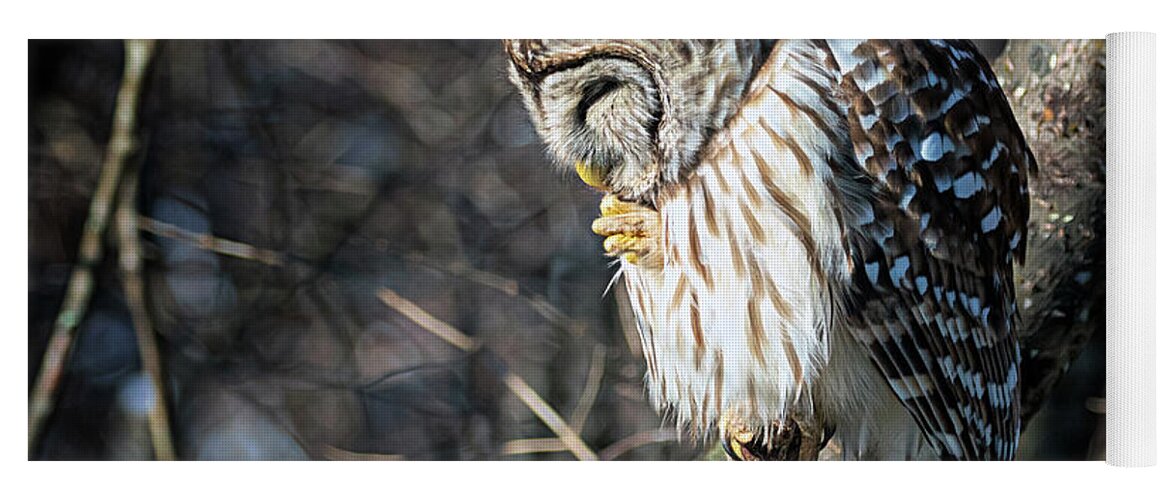 Owl Yoga Mat featuring the photograph Owl Prayer by Jaki Miller