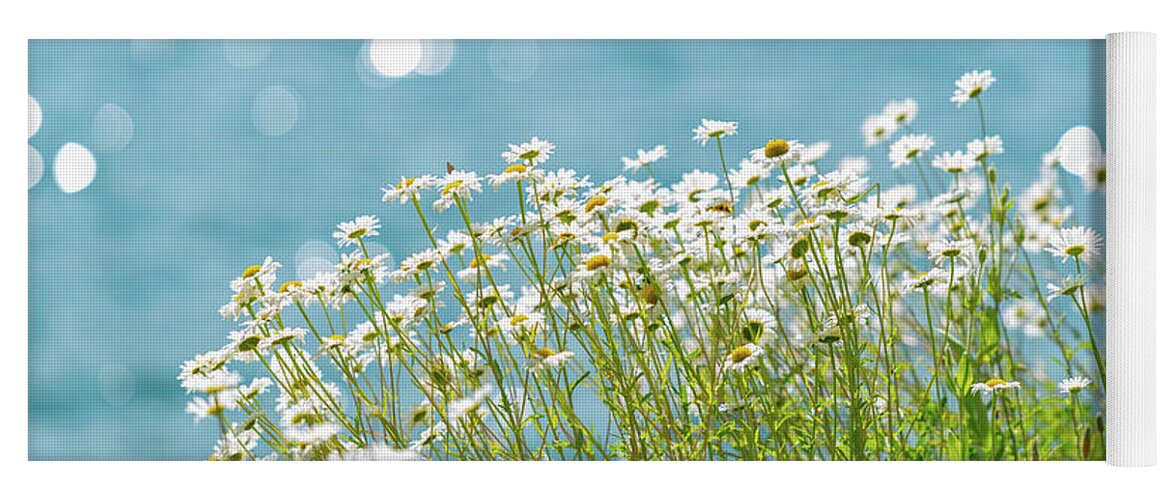 Aster Yoga Mat featuring the photograph Oxeye Daisies at the Lake by Nancy Gleason