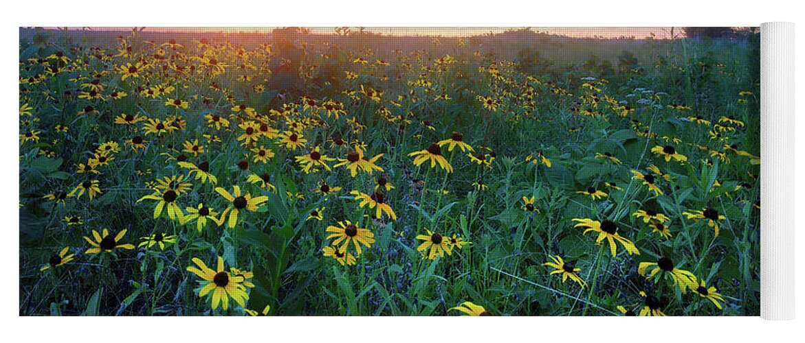 Conservation Area Yoga Mat featuring the photograph Paintbrush Prairie IV by Robert Charity
