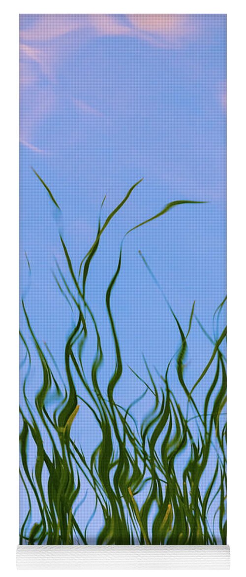 Grasses Yoga Mat featuring the photograph Painterly grasses by Stephen Holst