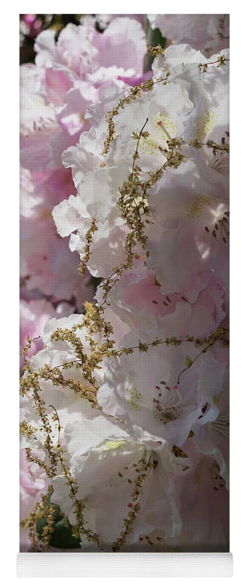 Rhododendron Yoga Mat featuring the photograph Pale pink rhododendron flowers 1 by Adriana Mueller